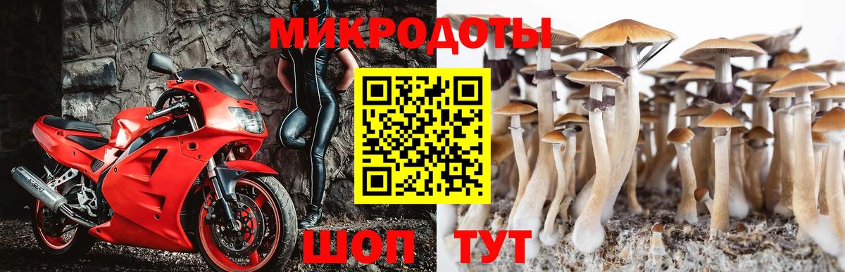 Галлюциногенные грибы мухоморы  Галлюциногенные грибы Psilocybine cubensis  Вход с VPN  Наро-Фоминск 